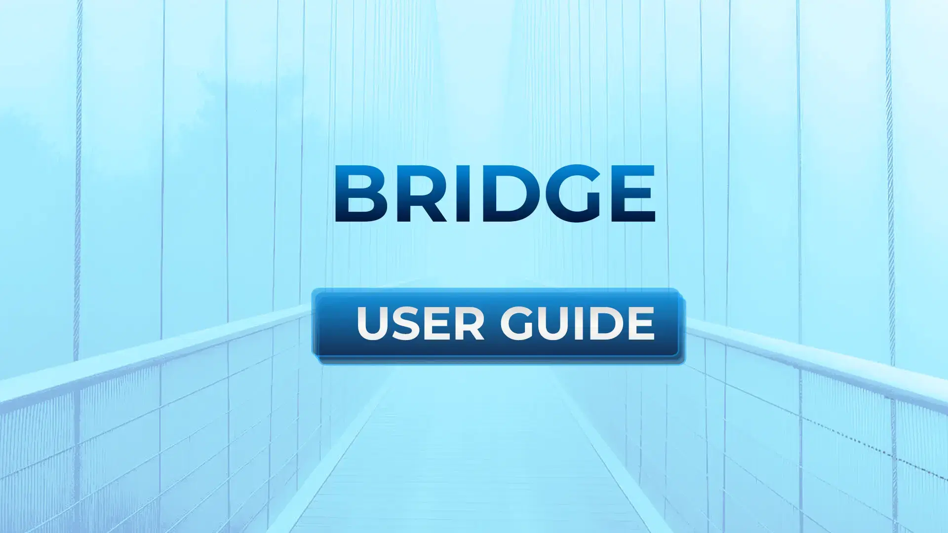 W Bridge User Guide